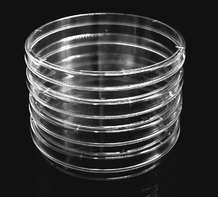 150mm一次性培养皿